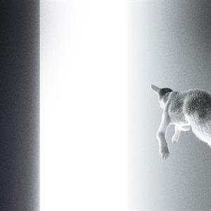 Keep Looking Where the Light Comes From by Panoram