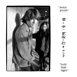Hold That Tiger by Sonic Youth