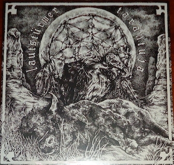Split by Lautsturmer & Tarantuja