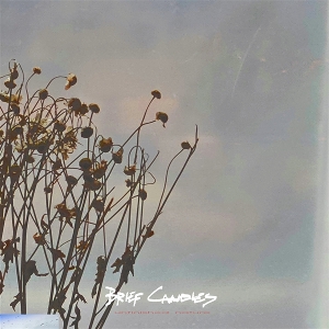 Unfinished Nature by Brief Candles