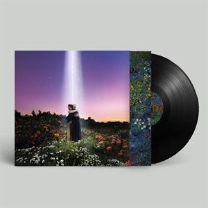 Let's Just Say the World Ended a Week From Now, What Would You Do? by Honne