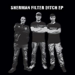 Sherman Filter Bitch Ep by 909 Junkies