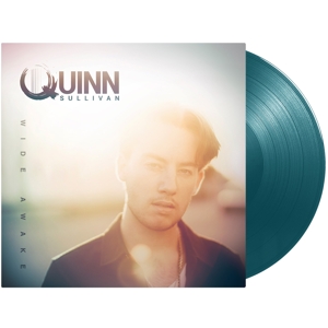 Wide Awake by Sullivan, Quinn