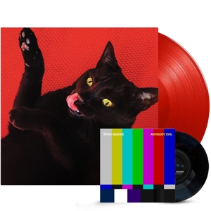 Big Colors