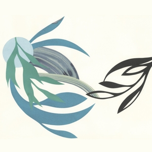 Natural Lines by Natural Lines