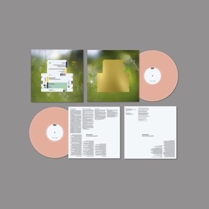 Everything Was Beautiful by Spiritualized