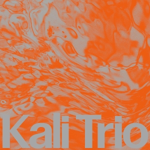 Playful Abstract by Kali Trio