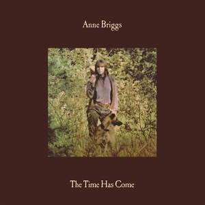 Time Has Come by Briggs, Anne