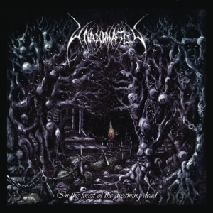 In the Forest of the Dreaming Dead (Re-Issue 2021) by Unanimated