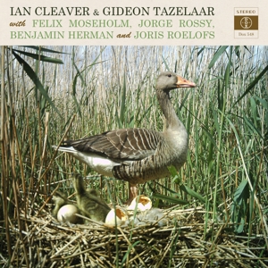 Volume 1 by Cleaver, Ian & Gid...