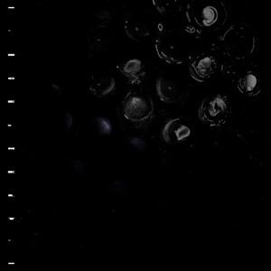 Ice Melt by Crumb