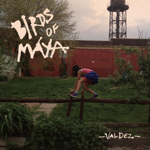 Valdez by Birds of Maya