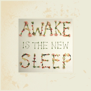 Awake is the New Sleep by Lee, Ben