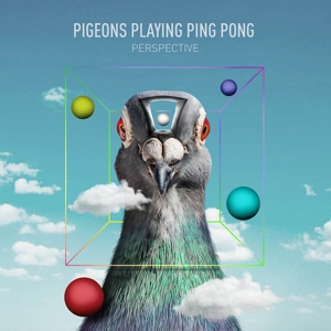 Perspective by Pigeons Playing Ping Pong