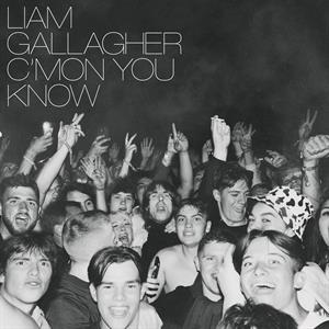 C Mon You Know by Gallagher, Liam