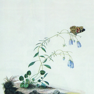 I: the Suicide Tree/Ii: a Ro