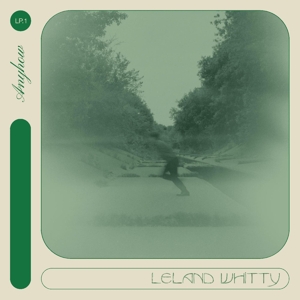 Anyhow by Whitty, Leland
