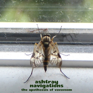 The Apotheosis of Vavavoom (Green) by Ashtray Navigations