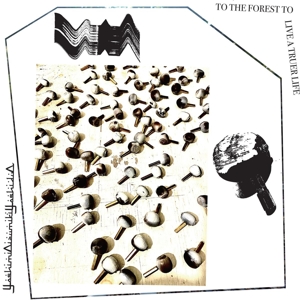 To the Forest To Live a Truer Life by Yoshimioizumikiyoshiduo