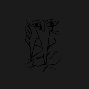 Zwarte Doos (6lp+7") by Aroma Di Amore