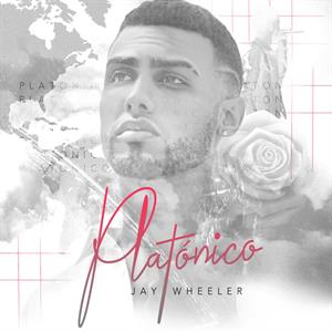 Platonico by Wheeler, Jay