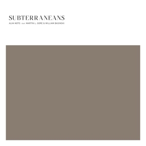 Subterraneans by Alva Noto Ft. Martin L...