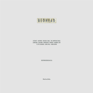 Whatfunlifewas (Pink) by Bedhead