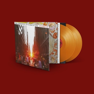 Chemistry of Common Life by Fucked Up