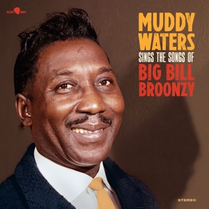Sings Big Bill by Waters, Muddy