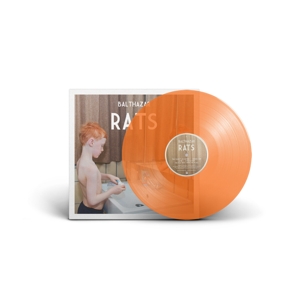 Rats by Balthazar