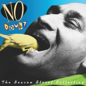 Beacon Street Collection by No Doubt