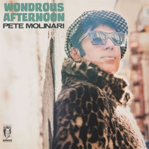 Wondrous Afternoon by Molinari, Pete