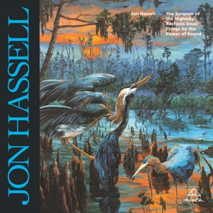 The Surgeon of the Nightsky (Vinyl) by Hassell, Jon
