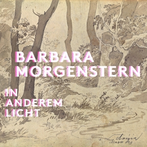 In Anderem Licht by Morgenstern, Barbara