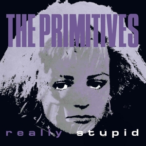 7-Really Stupid