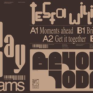Beyond Today by Williams, Tesfa