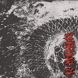 Reincarnate by Witch Fever