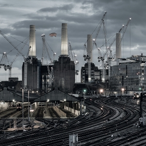 Animals by Pink Floyd