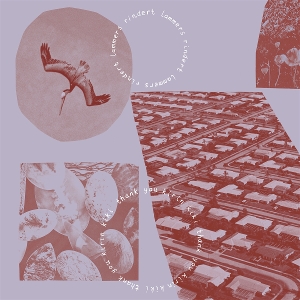 Thank You Kirin Kiki by Lammers, Rindert