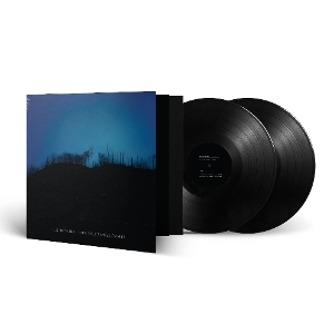 New Wilderness Gospel by Lux Interna