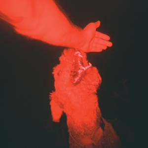 A Trick of the Light by Winter, Eli