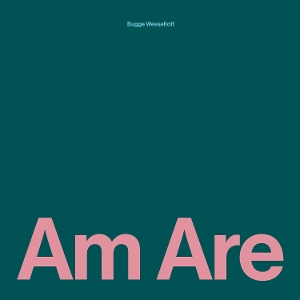 Am Are by Wesseltoft, Bugge