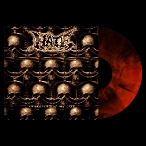 Awakening of the Liar by Hate