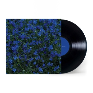 Gift Songs