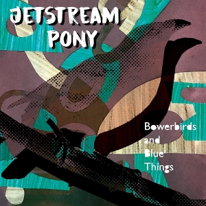 Bowerbirds and Blue Things by Jetstream Pony
