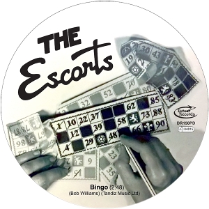 7-Bingo by Escorts