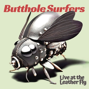 Live At the Leather Fly by Butthole Surfers