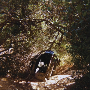 Possession by Segall, Ty