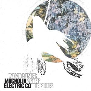 What Comes After the Blues by Magnolia Electric Co