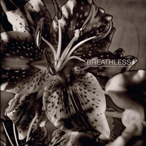 Between Happiness and Heartache by Breathless